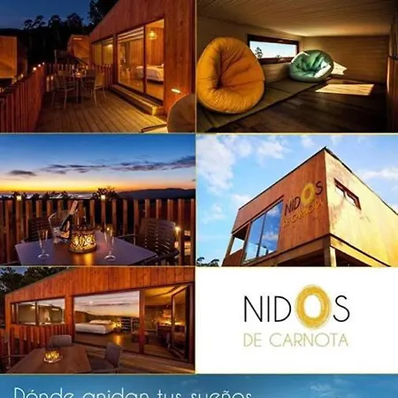 Nidos De 3*