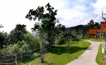 Nidos De